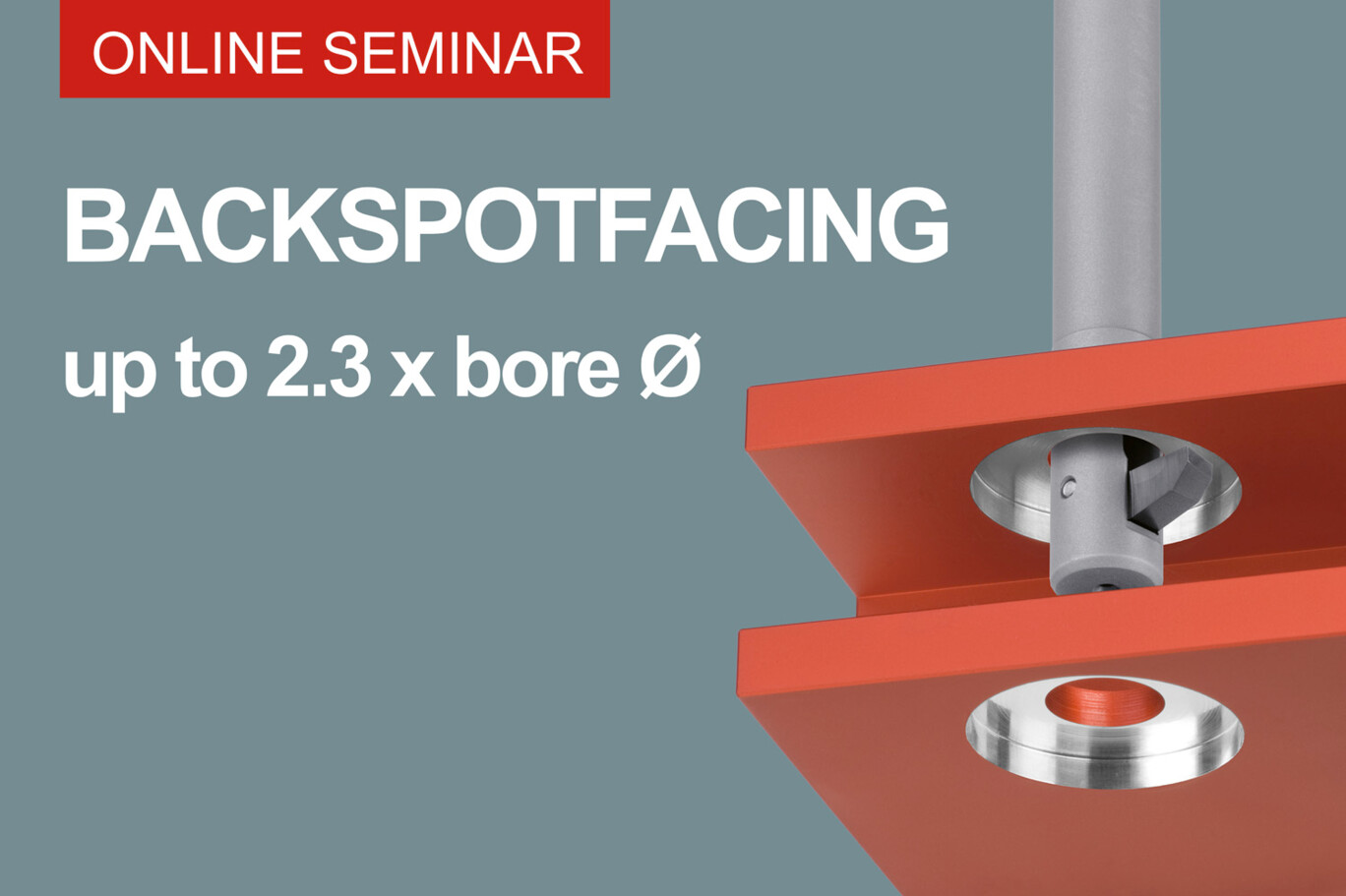 Online-Seminar-backspotfacing